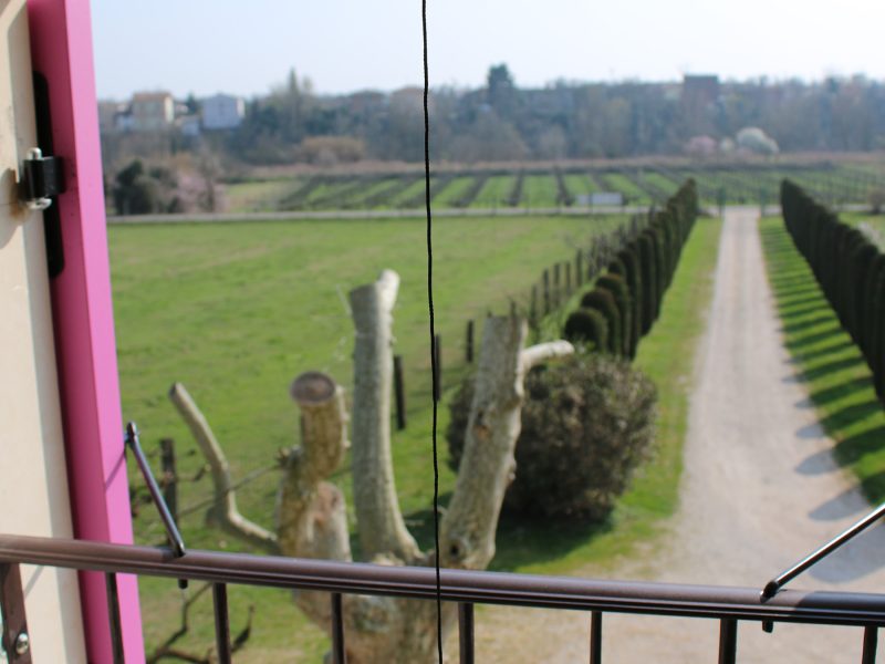 B&B — foto 1